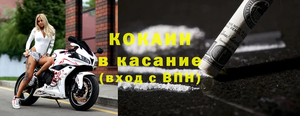 индика Алзамай