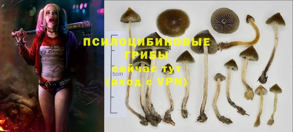 Альфа ПВП Алексин