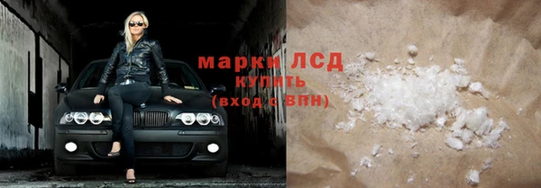 индика Алзамай