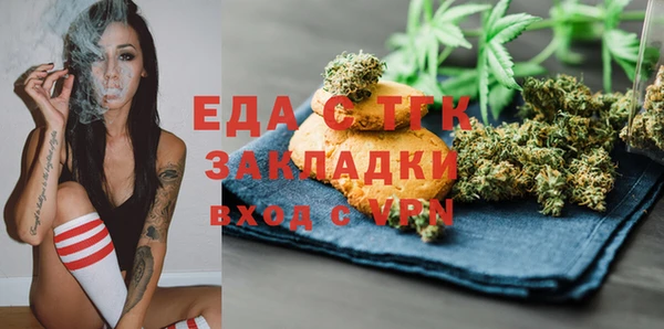 индика Алзамай