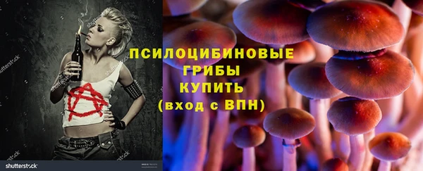 индика Алзамай