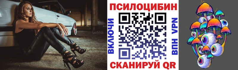 Псилоцибиновые грибы GOLDEN TEACHER  как найти   сайты даркнета наркотические препараты  Заозёрный 